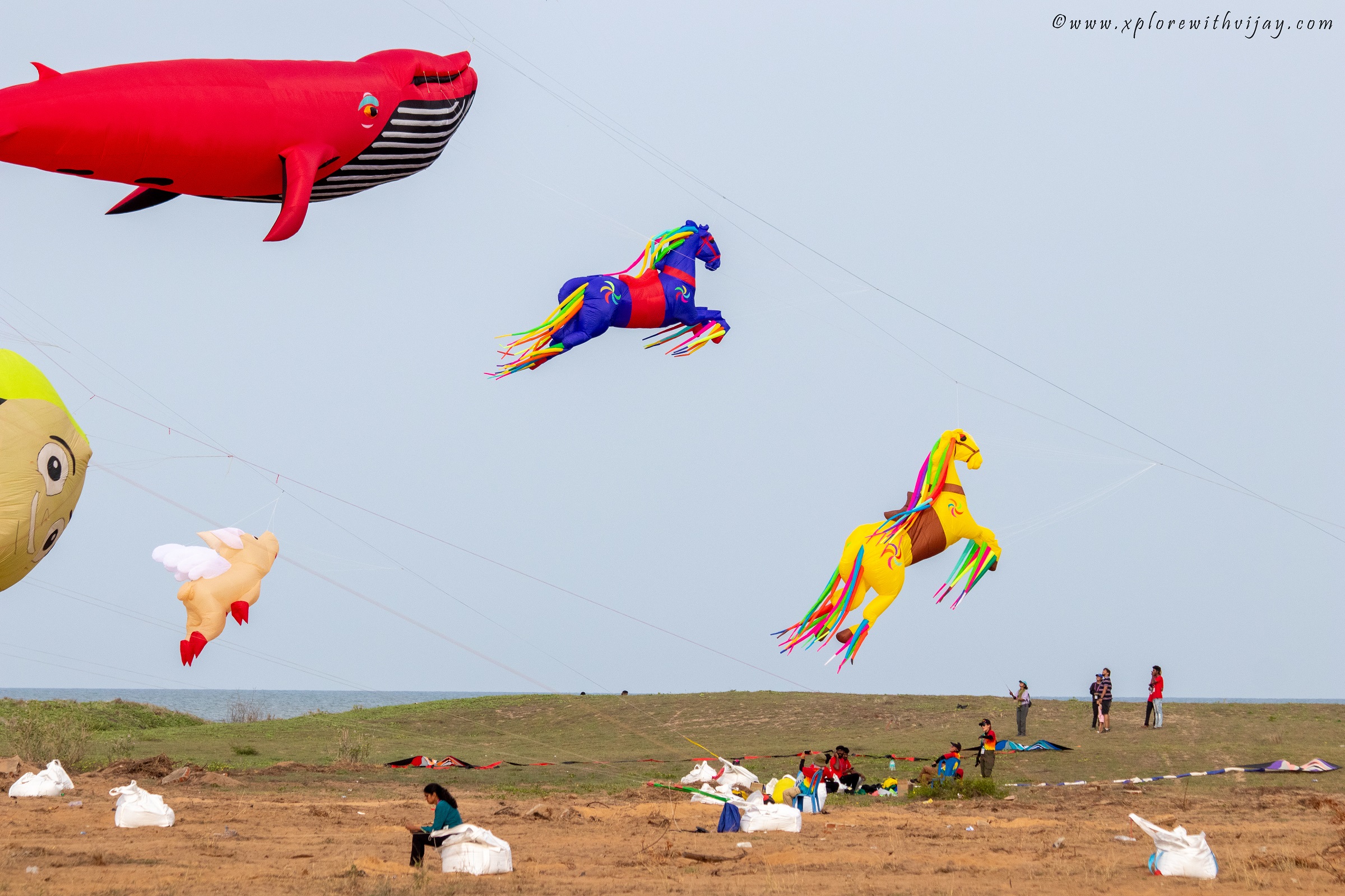 Riot Of Colours Tamil Nadu International Kite Festival