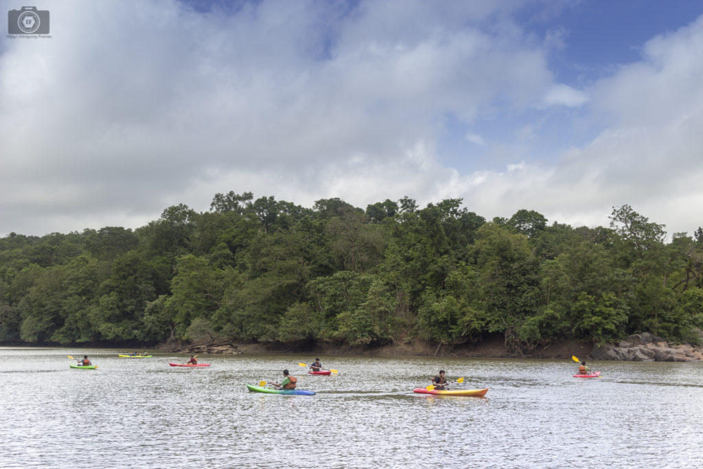 Kayaking in river Kali