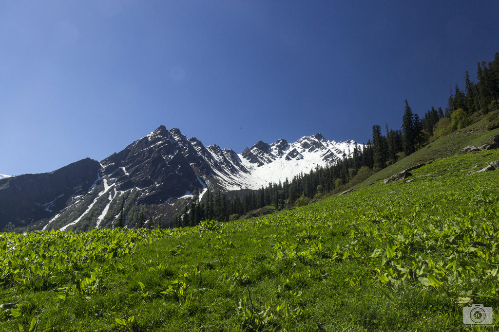 Himalayas