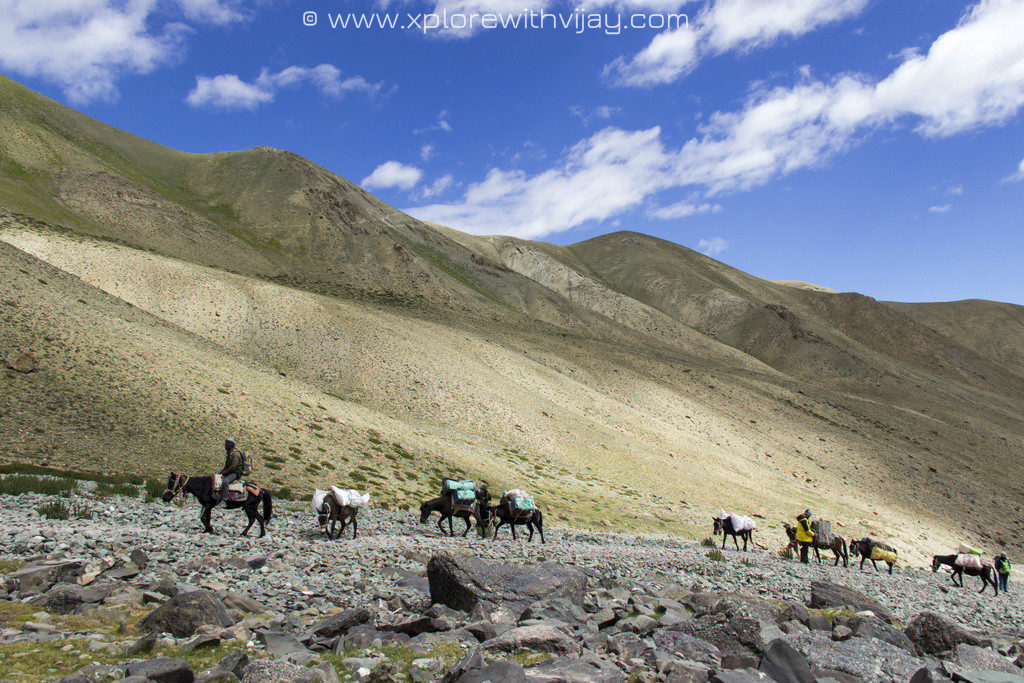 Enriute_Stok_Kangri_Basecamp