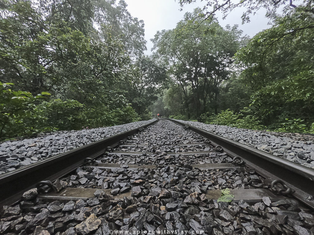 Railway_Line_Goa_1