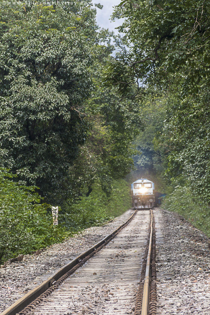 Train_Passing_Goa_1