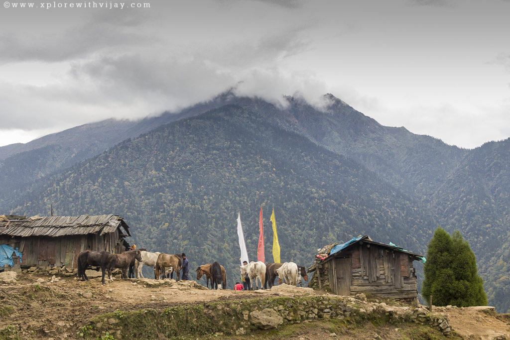 Himalayas_3