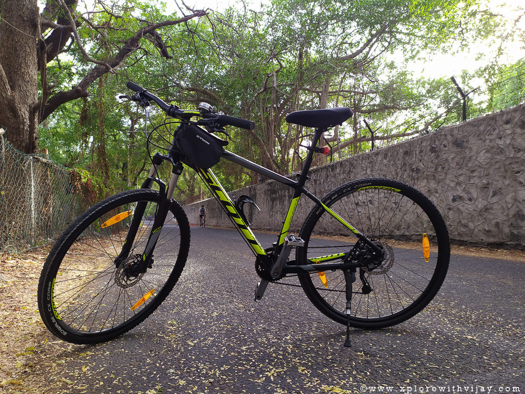 Cycling_portrait_2