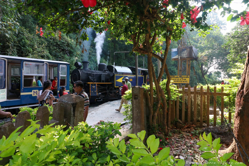 Ooty_Toy_Train_7