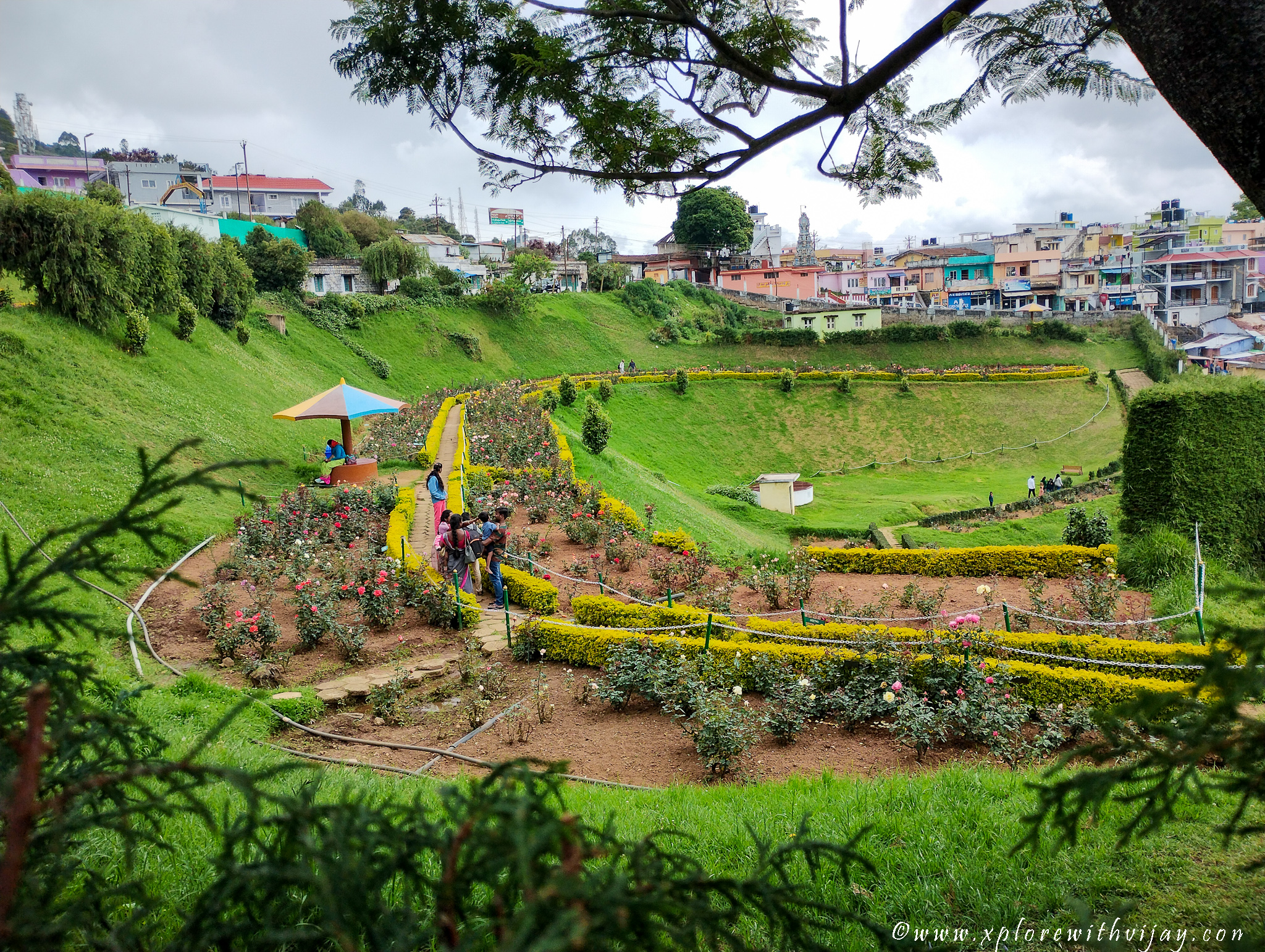 Ooty_Sightseeing_17